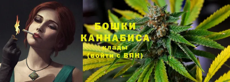 Бошки марихуана SATIVA & INDICA  наркота  Нязепетровск 